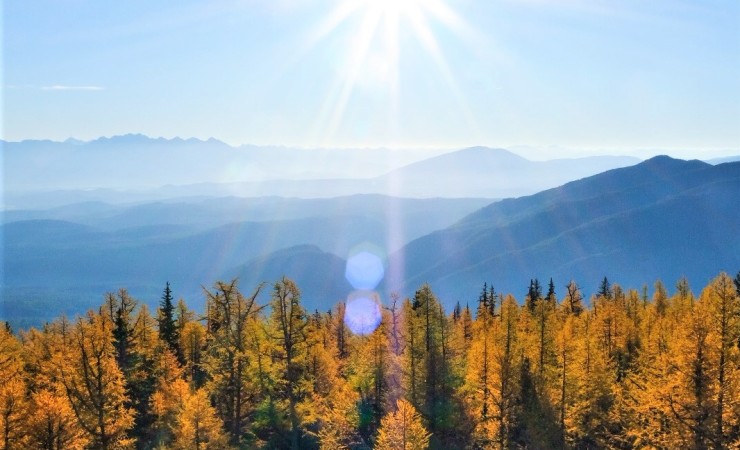Forestry Assistant | Prince George | Geoterra