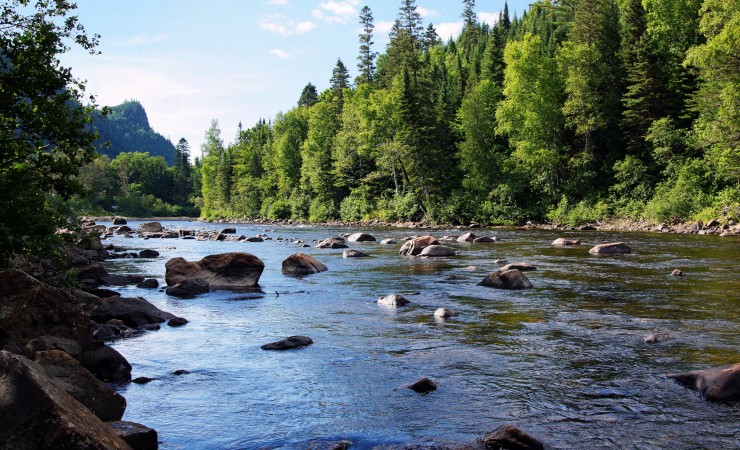  Project Coordinator (Business Development and Partnerships)