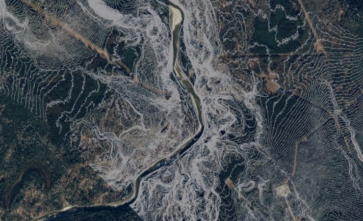 Silviculture Forester | Geoterra IRS