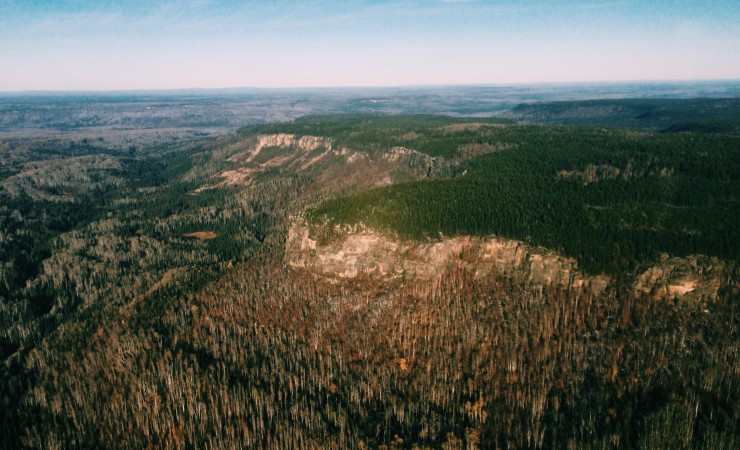 Silviculture Supervisor | Geoterra IRS