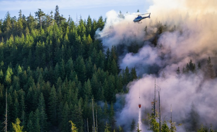 Wildfire Project Manager