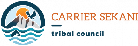 Carrier
