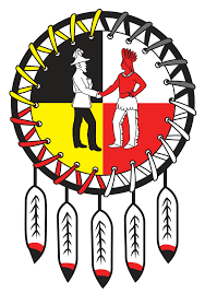 Treaty 8