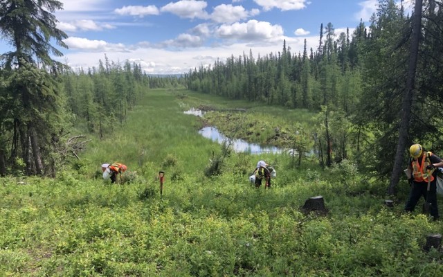 Forestry & Land Management