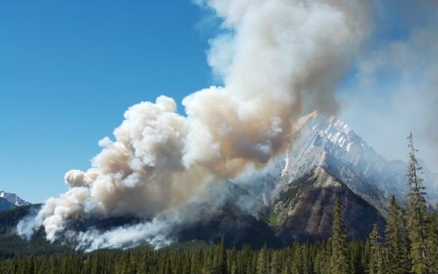 wildfire in british columbia forest